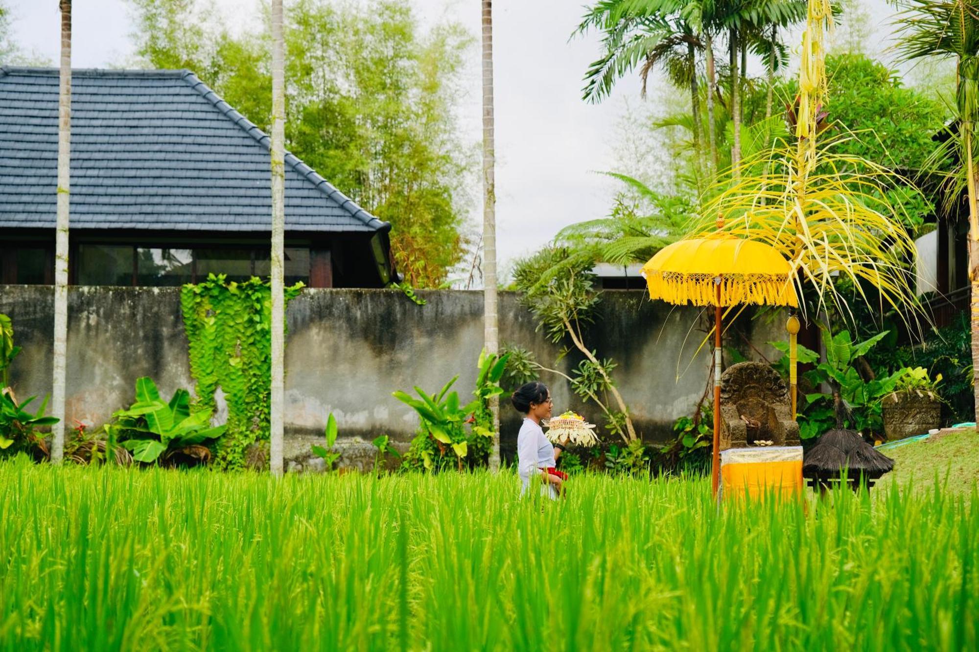 Wana Karsa The Villas Ubud Buitenkant foto