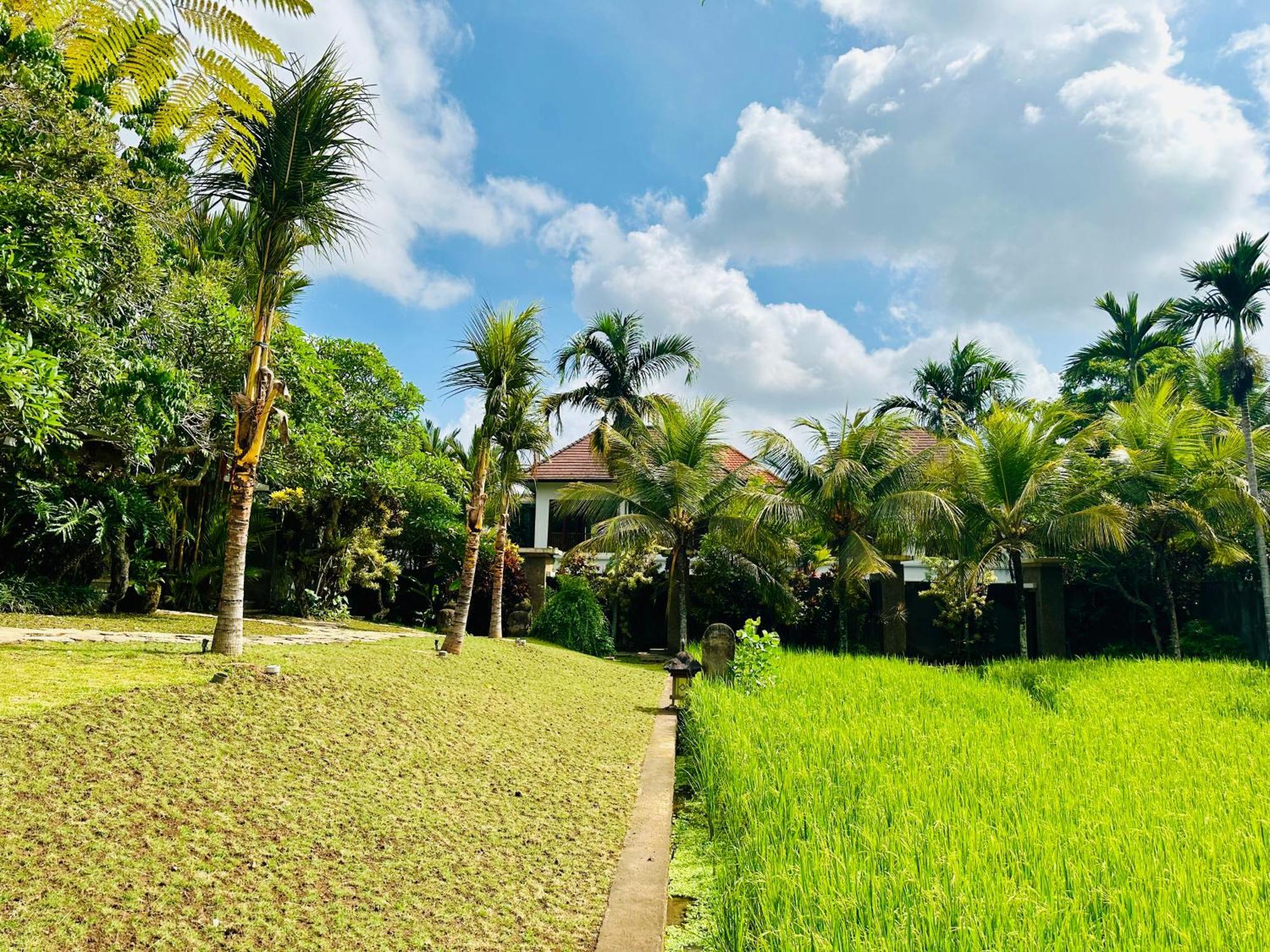 Wana Karsa The Villas Ubud Buitenkant foto
